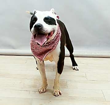Photo of ATHENA