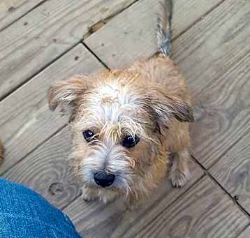 Photo of Barkley