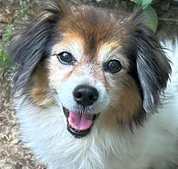 Photo of Chloe