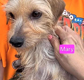 Photo of Mary
