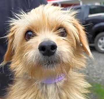 Photo of Esther
