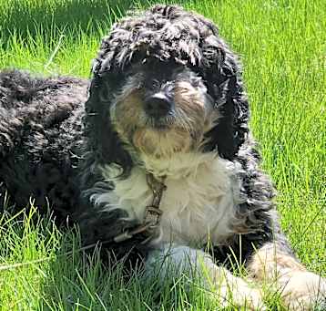 Photo of Sophie