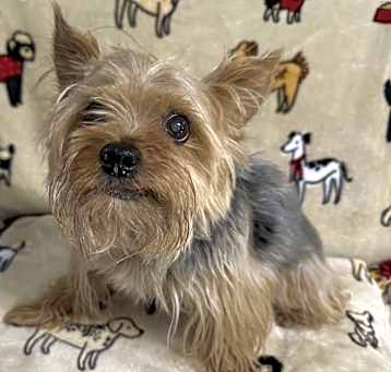 Photo of Eggo