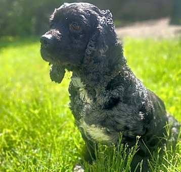 Photo of Nellie