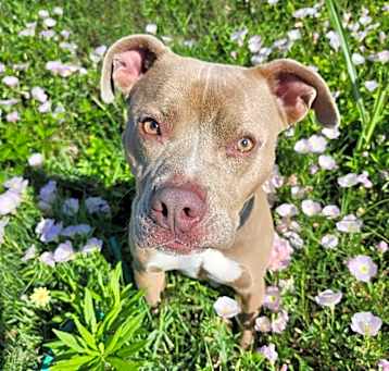 Photo of Diamond