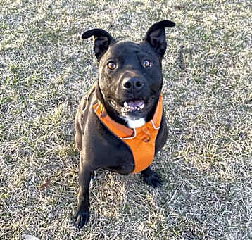 Photo of Stryker