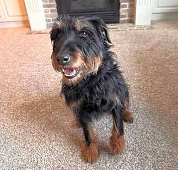 Photo of Penny