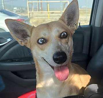 Photo of Athena