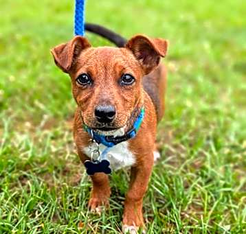 Photo of Turbo