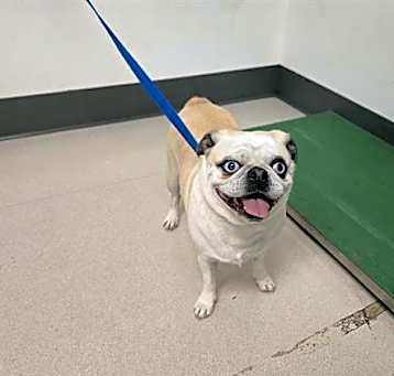 Photo of PRADA