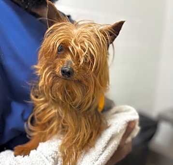 Photo of *TINK