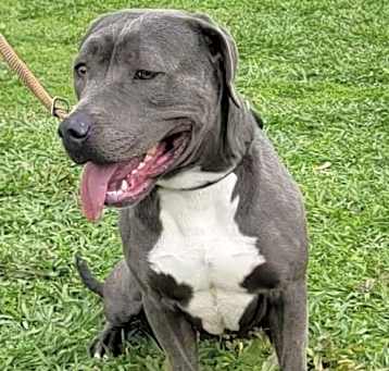 Photo of Skye