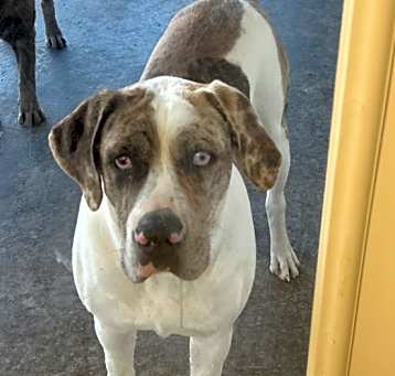 Photo of Jax