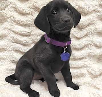 Photo of Tessa