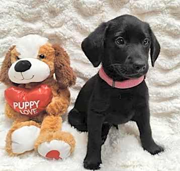 Photo of Tilly