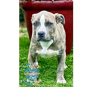 Photo of Renae Litter COH