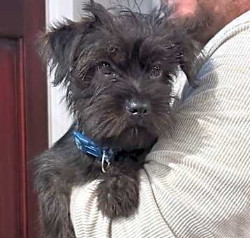 Photo of Teddy Eddie