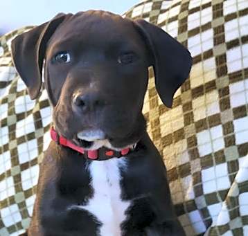 Photo of Bruce