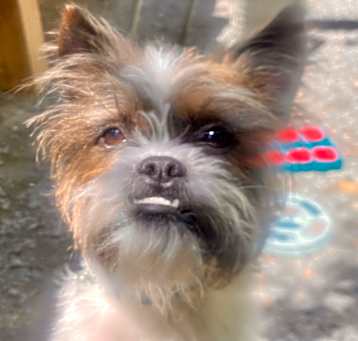 Photo of Malu