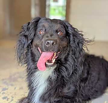 Photo of Jiggy