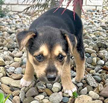 Photo of Jillie