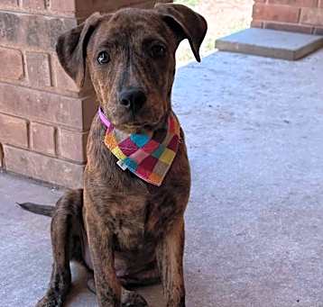 Photo of Ember