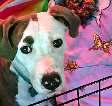 Photo of Gus
