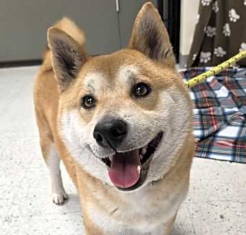 Photo of Symba