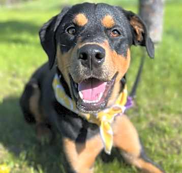 Photo of Gerdy