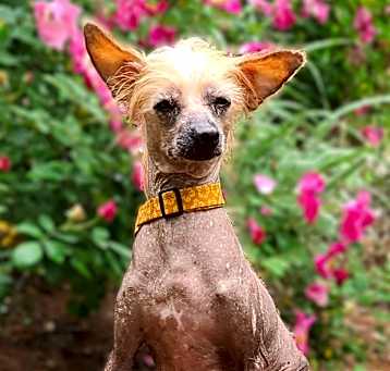Photo of KiKi