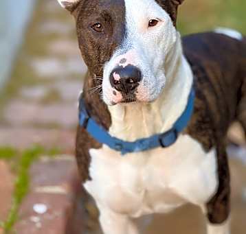 Photo of Parker