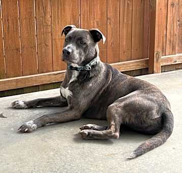 Photo of Tank