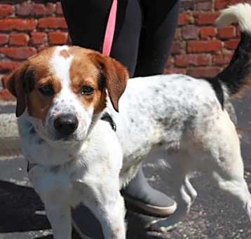 Photo of Cash