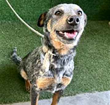 Photo of BLUE