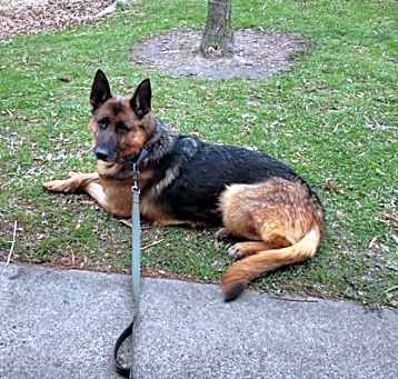 Photo of Lola