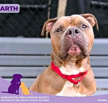 Photo of Garth