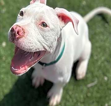 Photo of GHOST