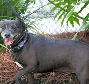 Photo of Rosalynn