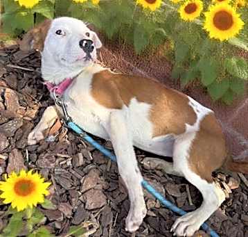 Photo of Lilou