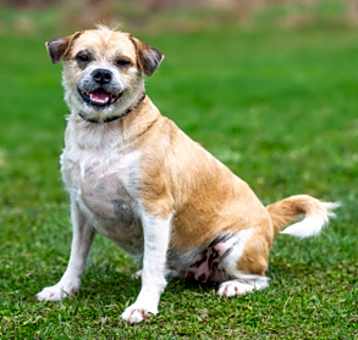 Photo of Coco