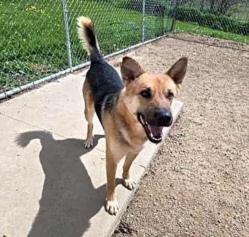 Photo of Buddy