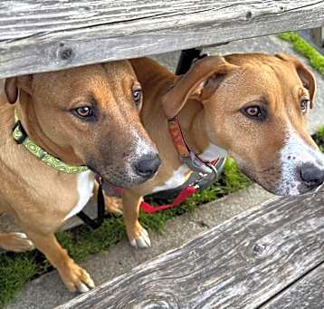 Photo of Charlie & Walter