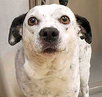 Photo of Tuck Tuck