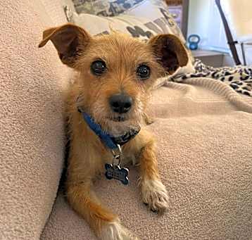 Photo of Monty