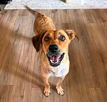 Photo of Pixie