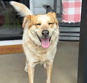 Photo of Sugar