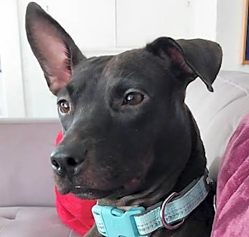 Photo of Happy