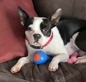 Photo of Delilah