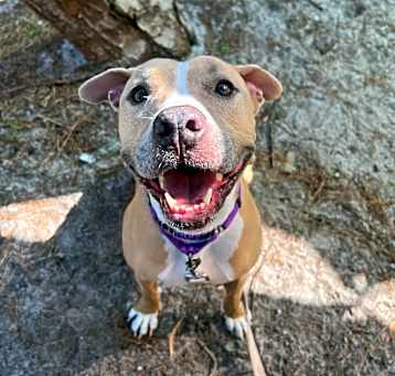 Photo of Betty Boo
