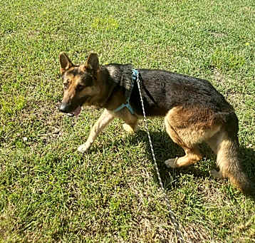 Photo of Kaine